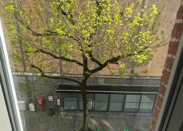 Appartement De Charme Dadou Belgium